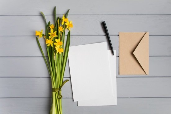 Papier en-tête et enveloppe
